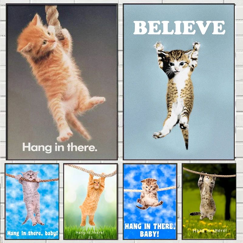 Hang In There Baby Cute Cat Yo - Baby Nursery Images 评论和价格