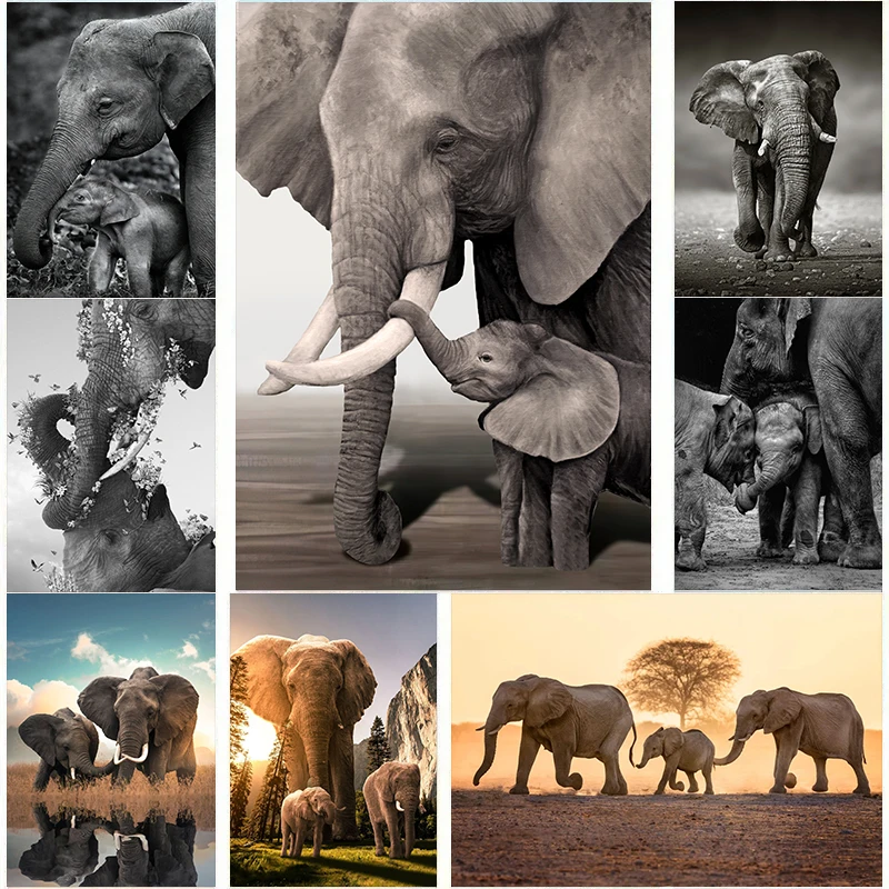 Wildlife Elephant Family Poste - Baby Nursery Images 评论和价格