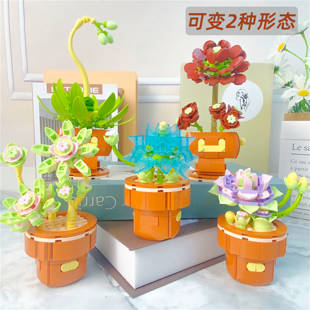 2024 City Creativity Succulent - Lego Set Creator 评论和价格