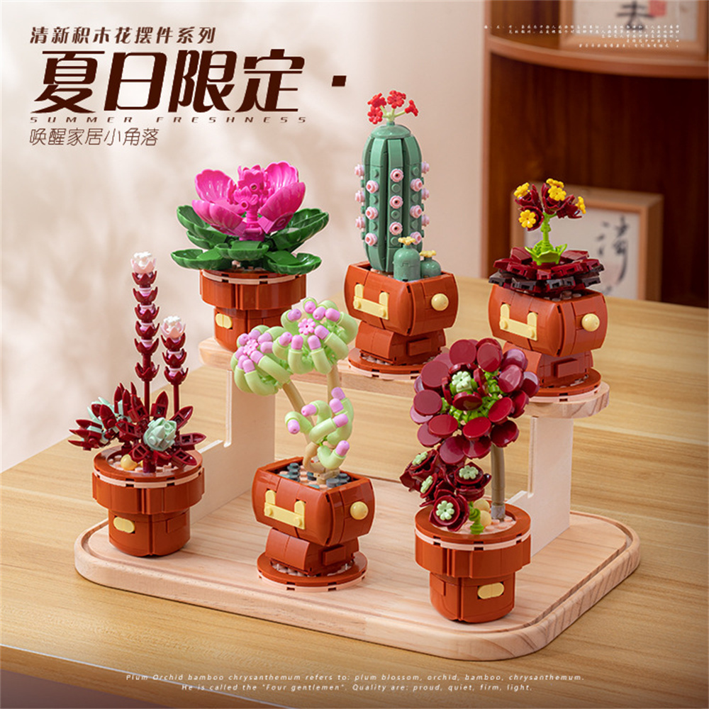 2024 City Creativity Succulent - Lego Set Creator 评论和价格
